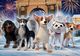 Un fel de Doamna și vagabondul - Samson, cățelul detectiv, și misterul coroanei / Dogs at the Opera