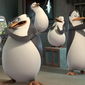 5. Pinguinii din Madagascar (seria de filme Madagascar)