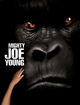 Film - Mighty Joe Young