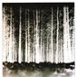 Poster 4 The Blair Witch Project
