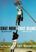 Pisica albă, pisica neagră