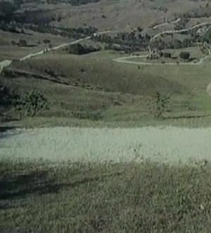 Tusea și junghiul