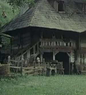 Tusea și junghiul