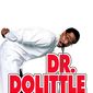 Poster 3 Doctor Dolittle