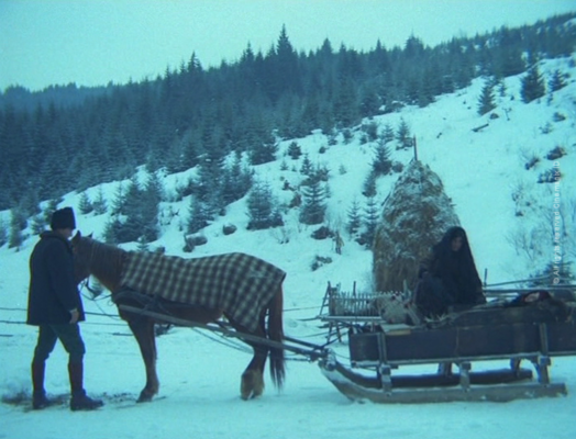 Imagini Ochi De Urs 1983 Imagine 1 Din 8 Cinemagia Ro