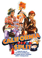 Poster California Split