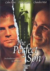 Poster The Perfect Son