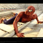 Poster 19 Spider-Man