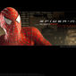 Poster 17 Spider-Man