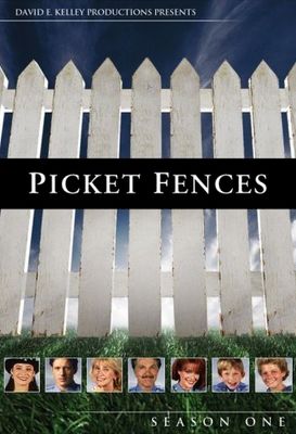 Picket Fences poster