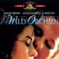 Poster 1 Wild Orchid