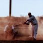 Field of Dreams/Terenul de baseball