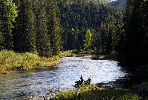 A River Runs Through It