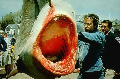 Jaws