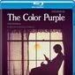 Poster 2 The Color Purple