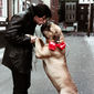 Foto 25 Sylvester Stallone în Rocky