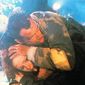 Foto 17 Bruce Willis, Bonnie Bedelia în Die Hard