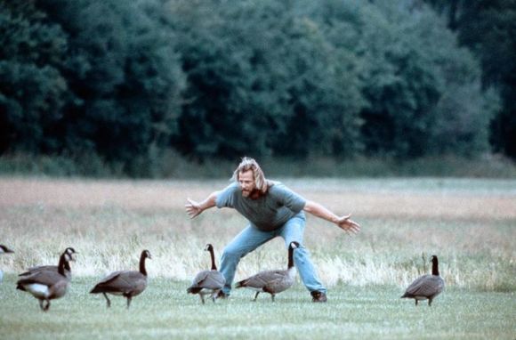 Jeff Daniels în Fly Away Home