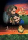 Film - Fly Away Home