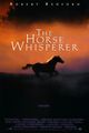 Film - The Horse Whisperer