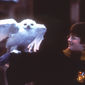 Daniel Radcliffe în Harry Potter and the Sorcerer's Stone - poza 134