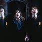 Foto 16 Daniel Radcliffe, Rupert Grint, Emma Watson în Harry Potter and the Sorcerer's Stone