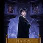 Poster 12 Harry Potter and the Sorcerer's Stone