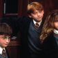 Foto 33 Daniel Radcliffe, Rupert Grint, Emma Watson în Harry Potter and the Sorcerer's Stone