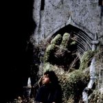 Imagine din galeria filmului Edward Scissorhands