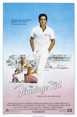 The Flamingo Kid poster