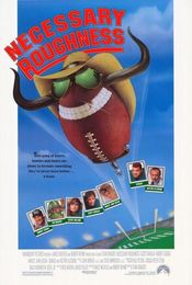Poster Necessary Roughness