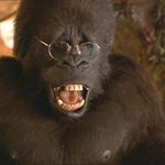 Imagine din galeria filmului George of the Jungle