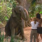 Imagine din galeria filmului George of the Jungle