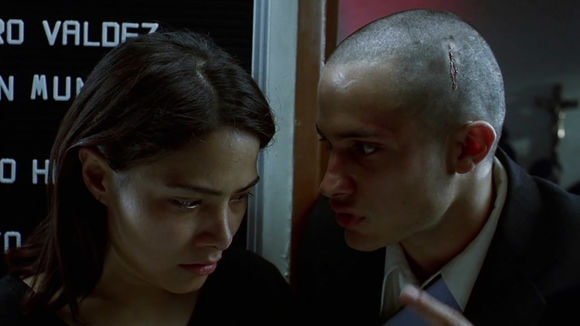 Amores perros