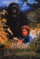 Film - Gorillas in the Mist