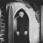 Foto 26 Nosferatu, eine Symphonie des Grauens