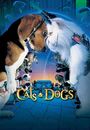 Film - Cats And Dogs