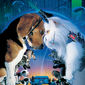 Poster 11 Cats And Dogs