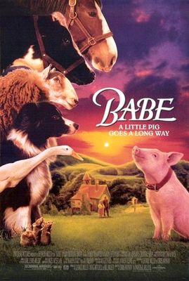 Babe poster