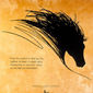 Poster 14 The Black Stallion