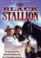 Film The Black Stallion