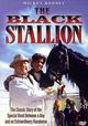 Film - The Black Stallion