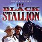 Poster 1 The Black Stallion