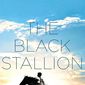 Poster 12 The Black Stallion