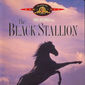 Poster 18 The Black Stallion