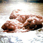 Imagine din galeria filmului The Blob