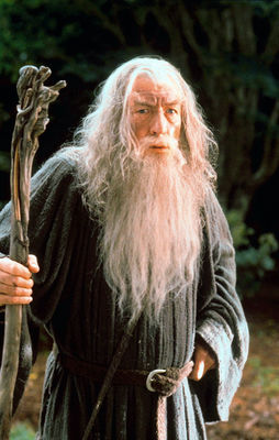 Ian McKellen în The Lord of the Rings: The Fellowship of the Ring