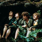 Foto 45 The Lord of the Rings: The Fellowship of the Ring