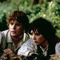 Foto 9 Elijah Wood, Sean Astin în The Lord of the Rings: The Fellowship of the Ring
