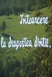 Poster Întoarcere la dragostea dintâi